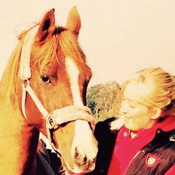 Arabisk fuldblod (OX) Dancer <3 billede 14