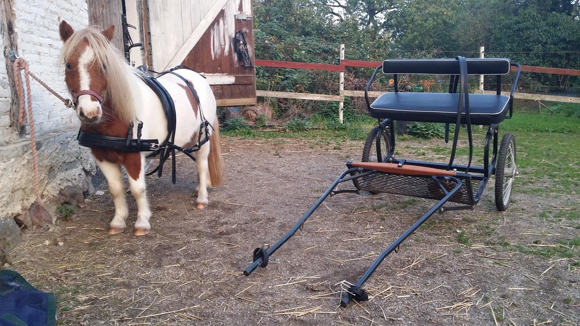 Miniature Pocahontas - Pocahontas nye vogn og seletøj billede 15