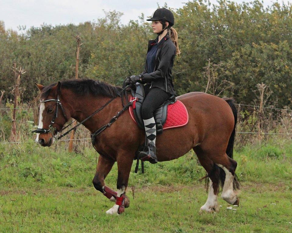 Anden særlig race Hesdalskærs Victoria <3 billede 2