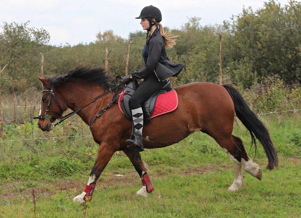 Anden særlig race Hesdalskærs Victoria <3 billede 3