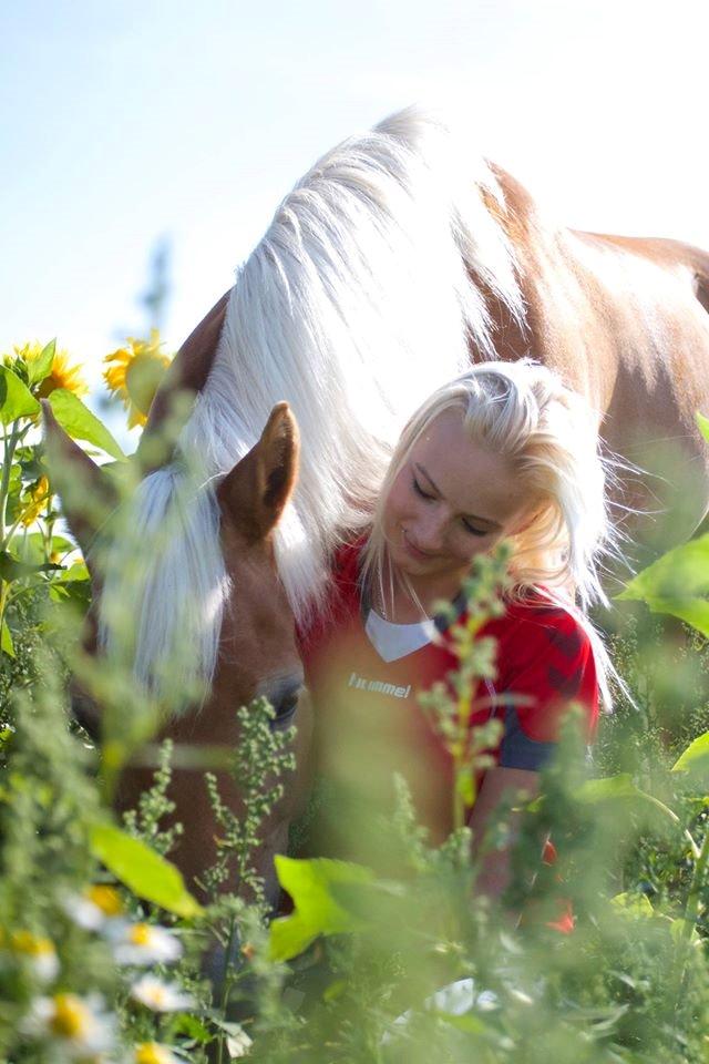 Haflinger Bella i cypressegård - Taget af Ida Rosbæk billede 15