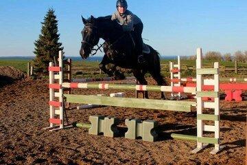 Anden særlig race Azak billede 2