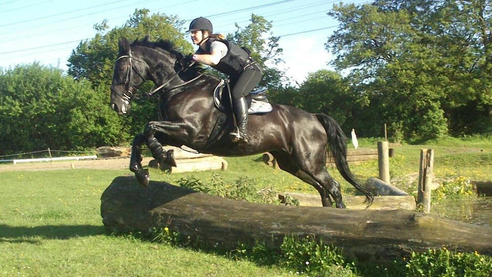 Anden særlig race Azak billede 5