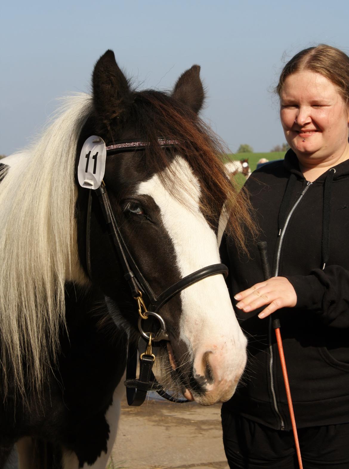 Tinker Skovbakkens Maggi May - Inden vi skal for dommerne på hård bund. billede 9