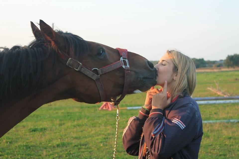 Anden særlig race Michelangelo B-pony - Myssar!<3 Foto: Lisa Limbrecht billede 11