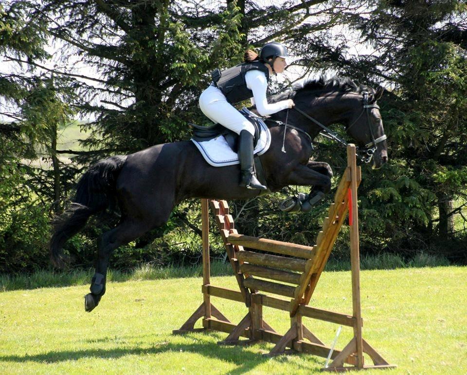 Anden særlig race Azak billede 9