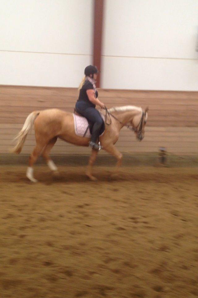 Anden særlig race Golden dancer - Første part dag med hende :-) billede 3