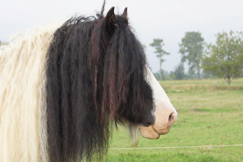 Tinker Dolomit billede 18