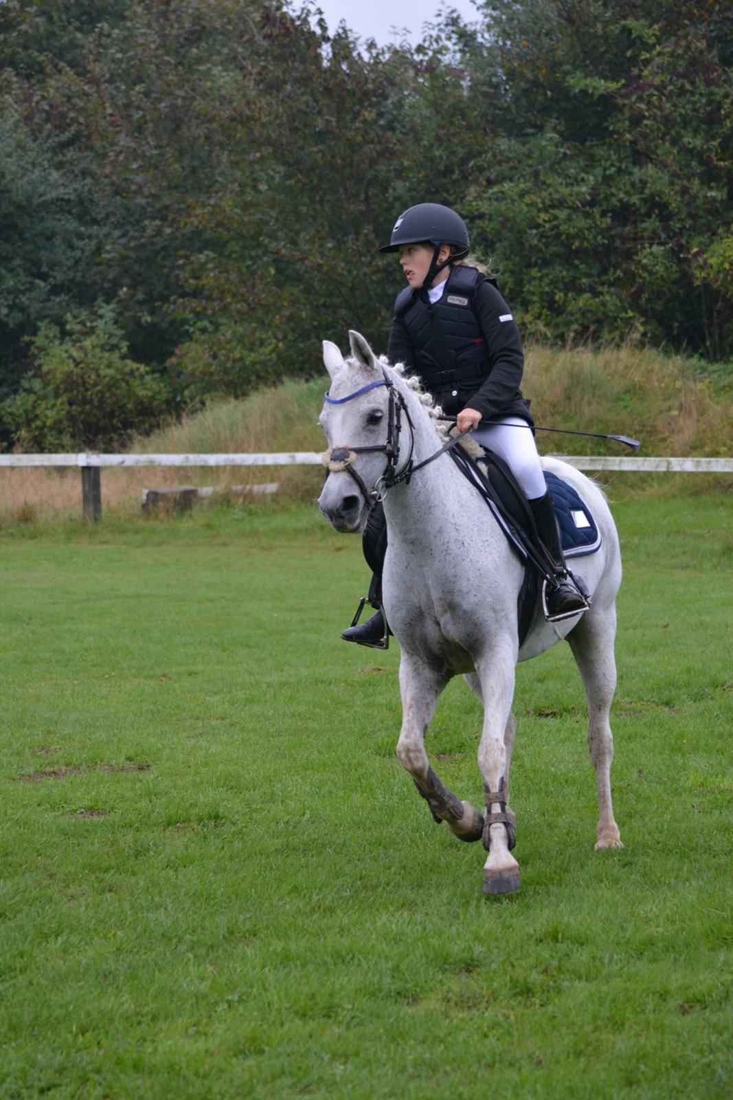 Anden særlig race Silver Moon billede 2