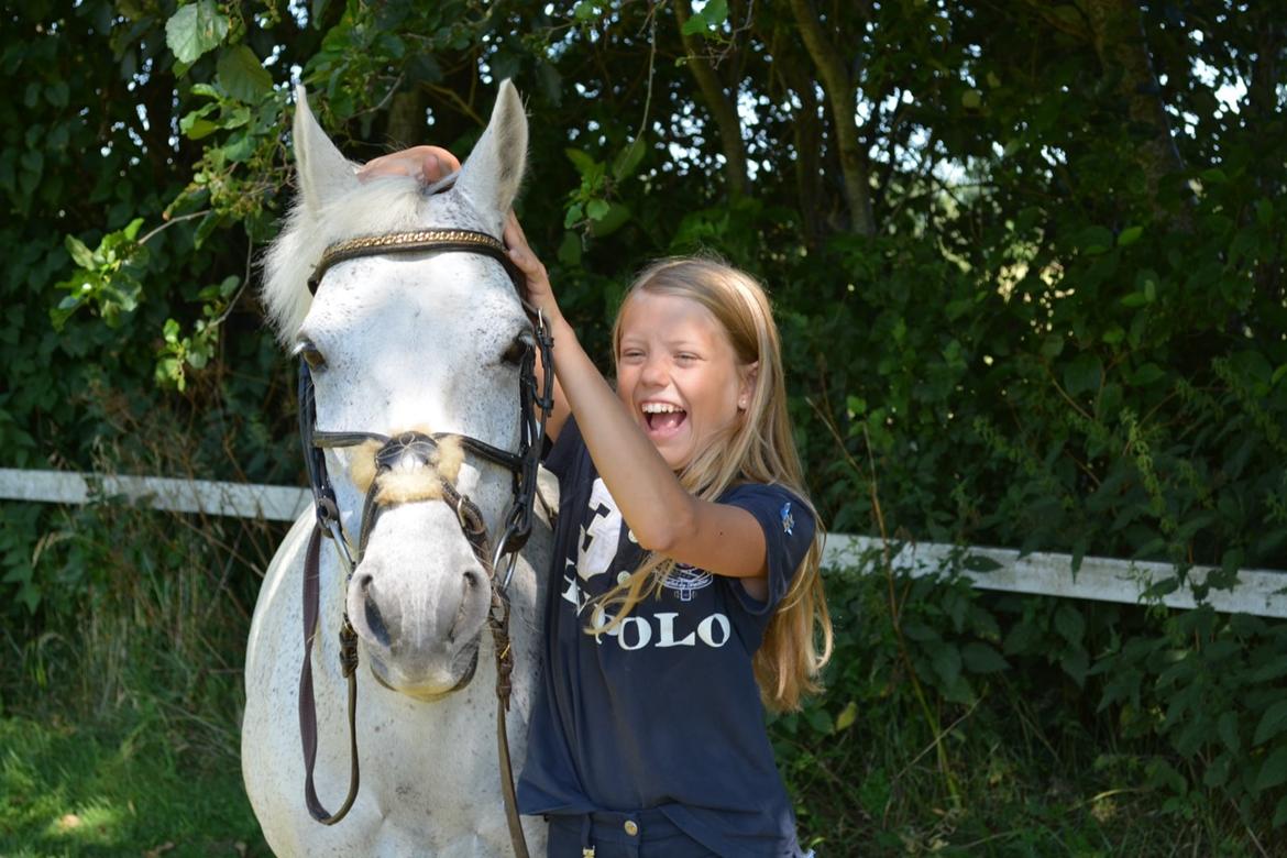 Anden særlig race Silver Moon billede 3