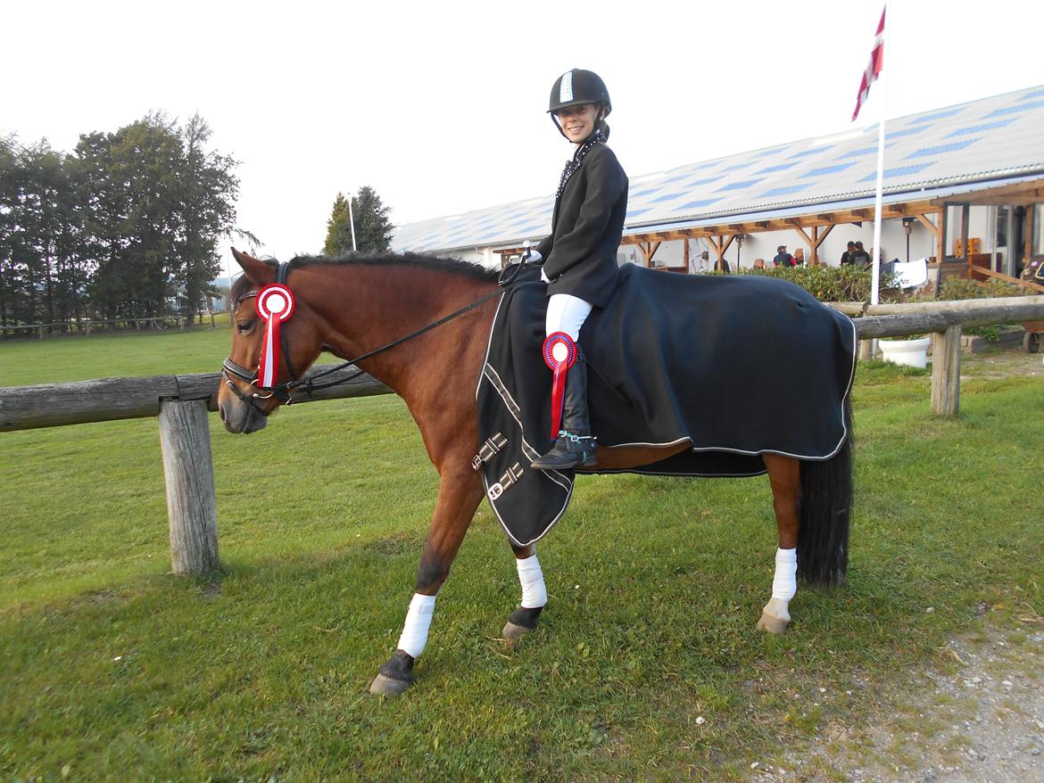 DSP Beauty billede 7