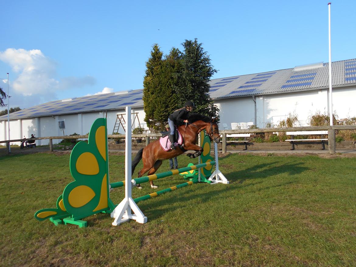 DSP Beauty billede 9