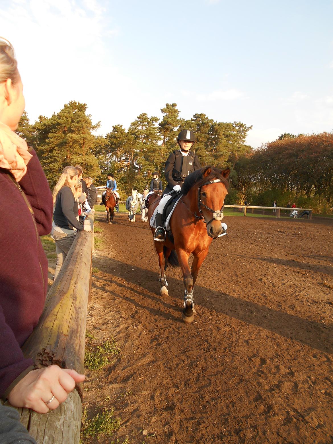 DSP Beauty billede 12