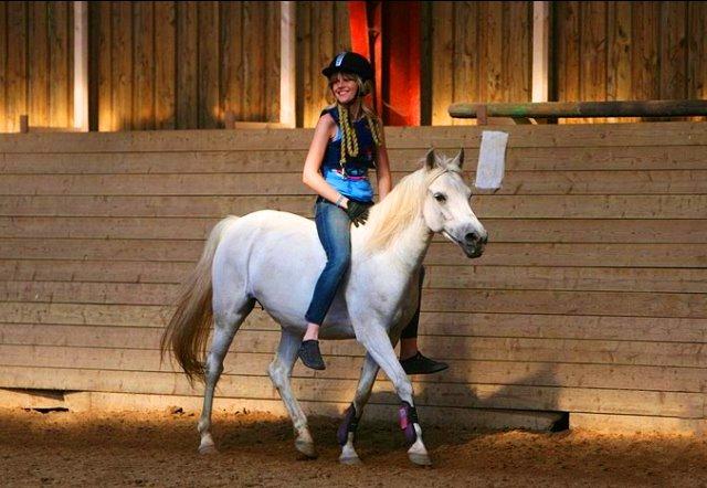 Hollandsk Sportspony Kitty billede 2