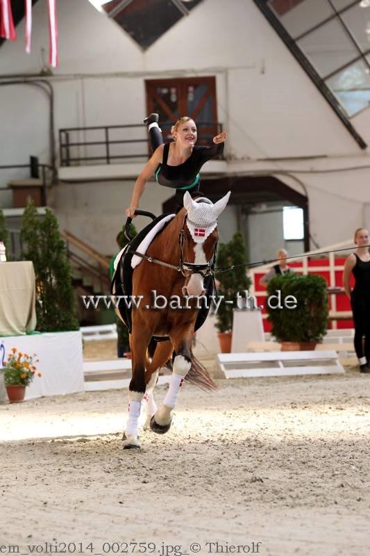 Holstener Fruerholm's Cato - EM 2014! - EM ungarn 2014 - Obligatoriske runde billede 4