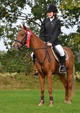 Welsh Pony (sec B) cindi billede 8