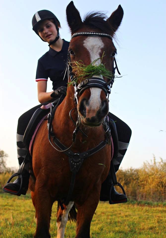 Anden særlig race Hesdalskærs Victoria <3 billede 6