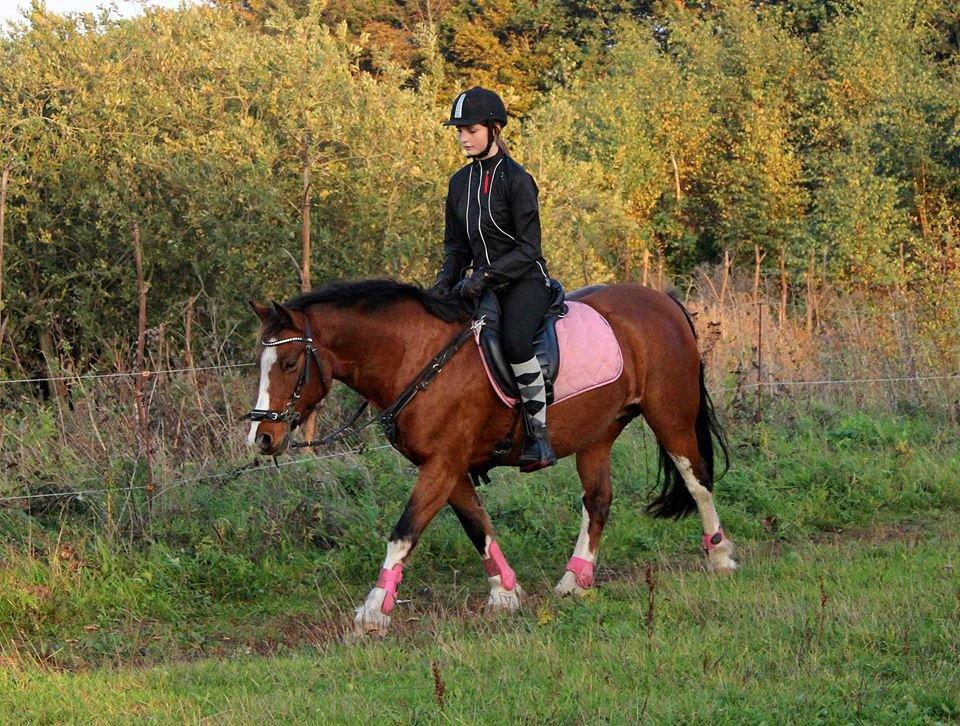 Anden særlig race Hesdalskærs Victoria <3 billede 7