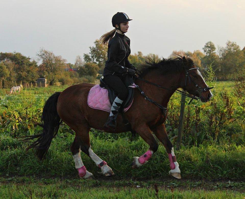 Anden særlig race Hesdalskærs Victoria <3 billede 10