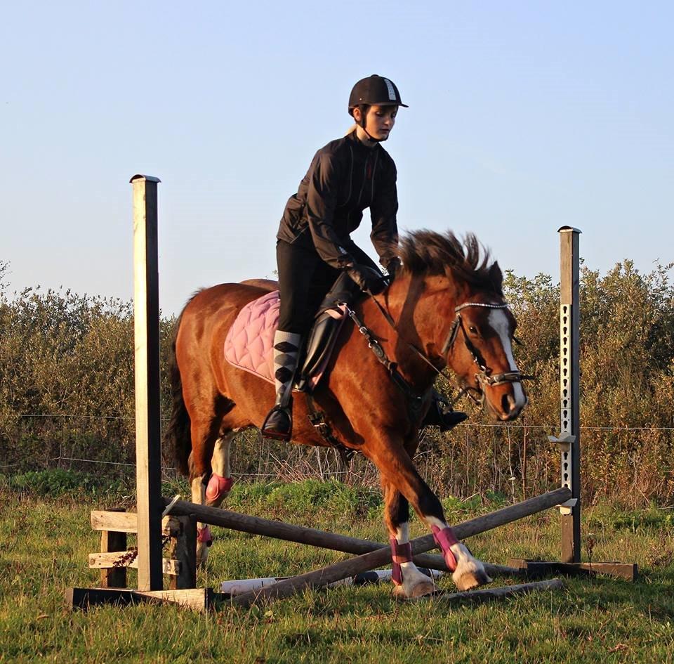 Anden særlig race Hesdalskærs Victoria <3 billede 14