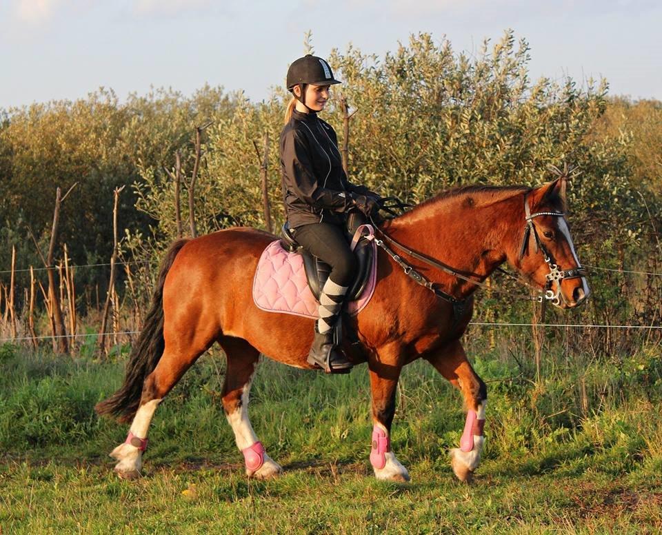 Anden særlig race Hesdalskærs Victoria <3 billede 13