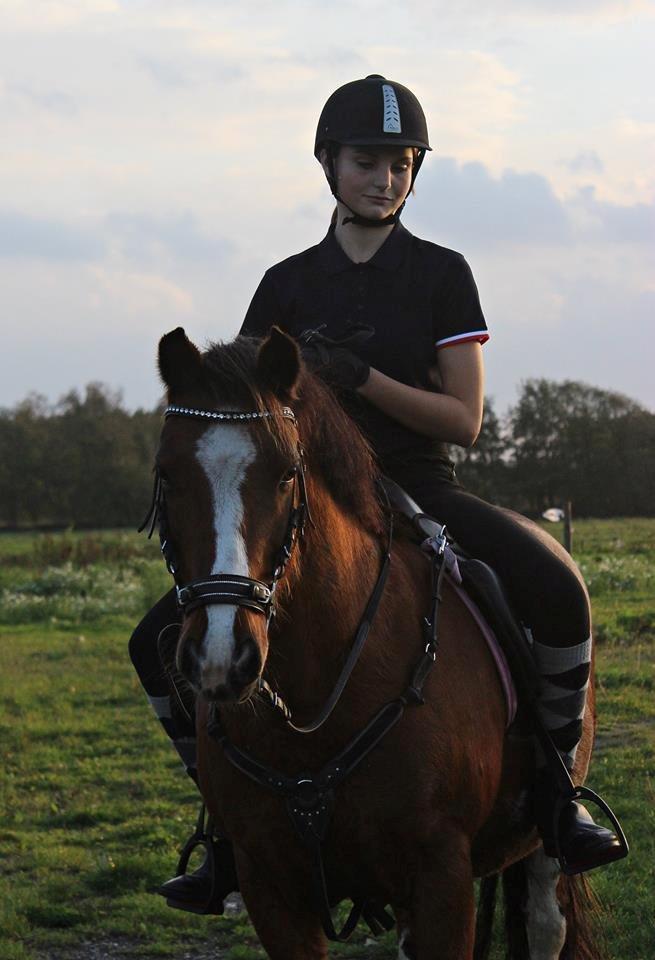 Anden særlig race Hesdalskærs Victoria <3 billede 9