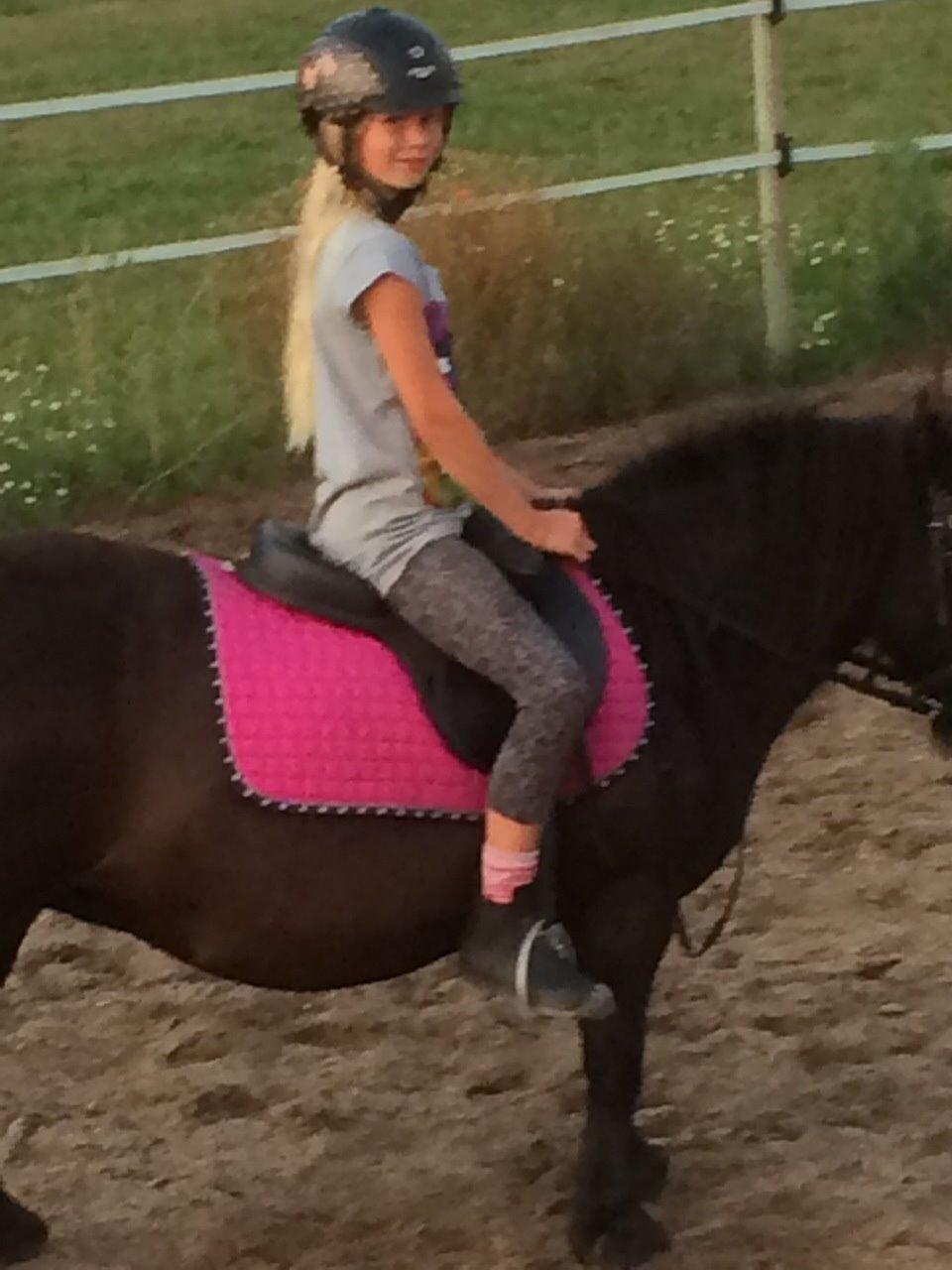 Shetlænder Ronja billede 17