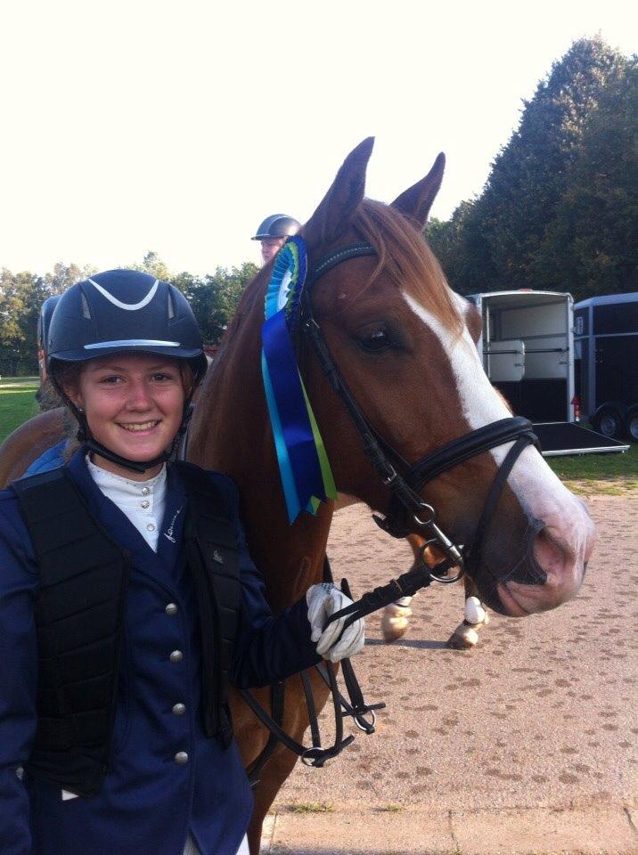 Anden særlig race Tristan - Efter en fejlfri rundte i 60 cm på Store hestedag! billede 14