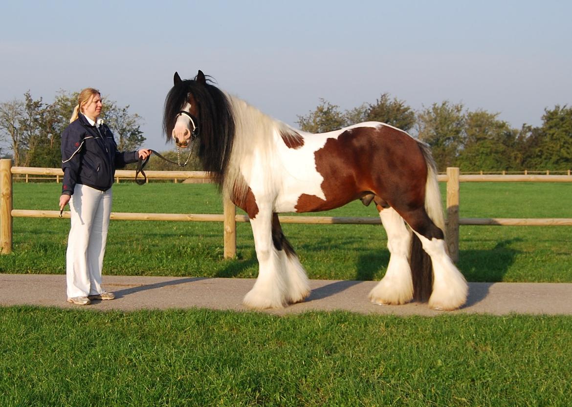 Tinker SATIN'S ROYAL CON QUEST billede 28