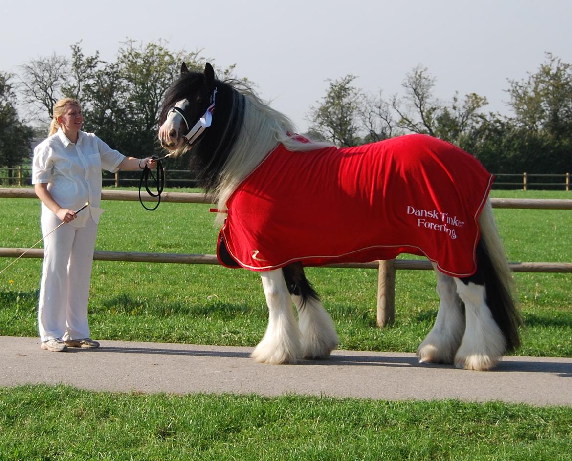 Tinker SATIN'S ROYAL CON QUEST billede 29