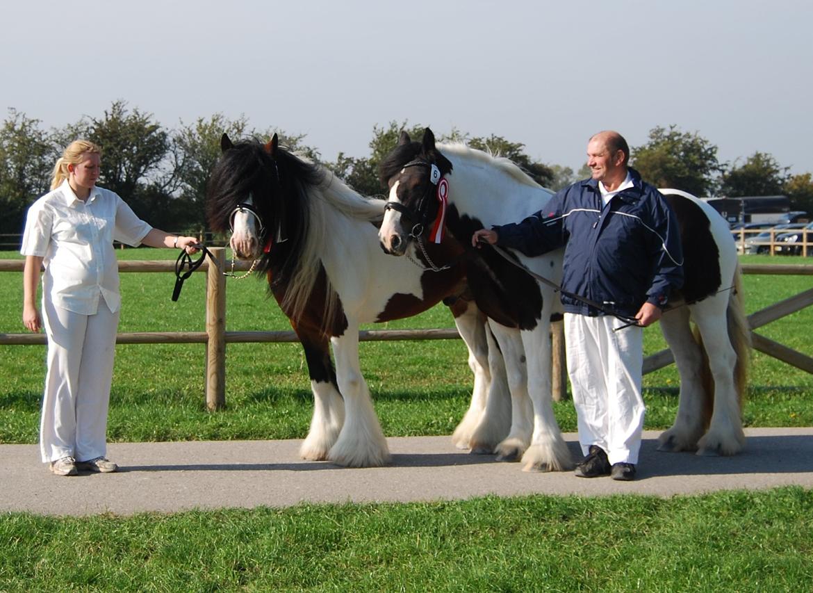 Tinker SATIN'S ROYAL CON QUEST billede 31