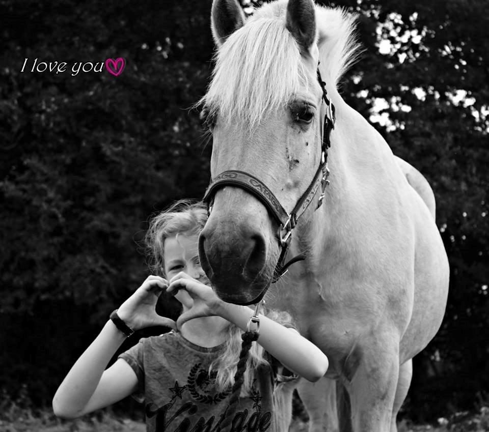 Fjordhest Vængets Mirabel <3 - Velkommen til Bellemus ♥. billede 1