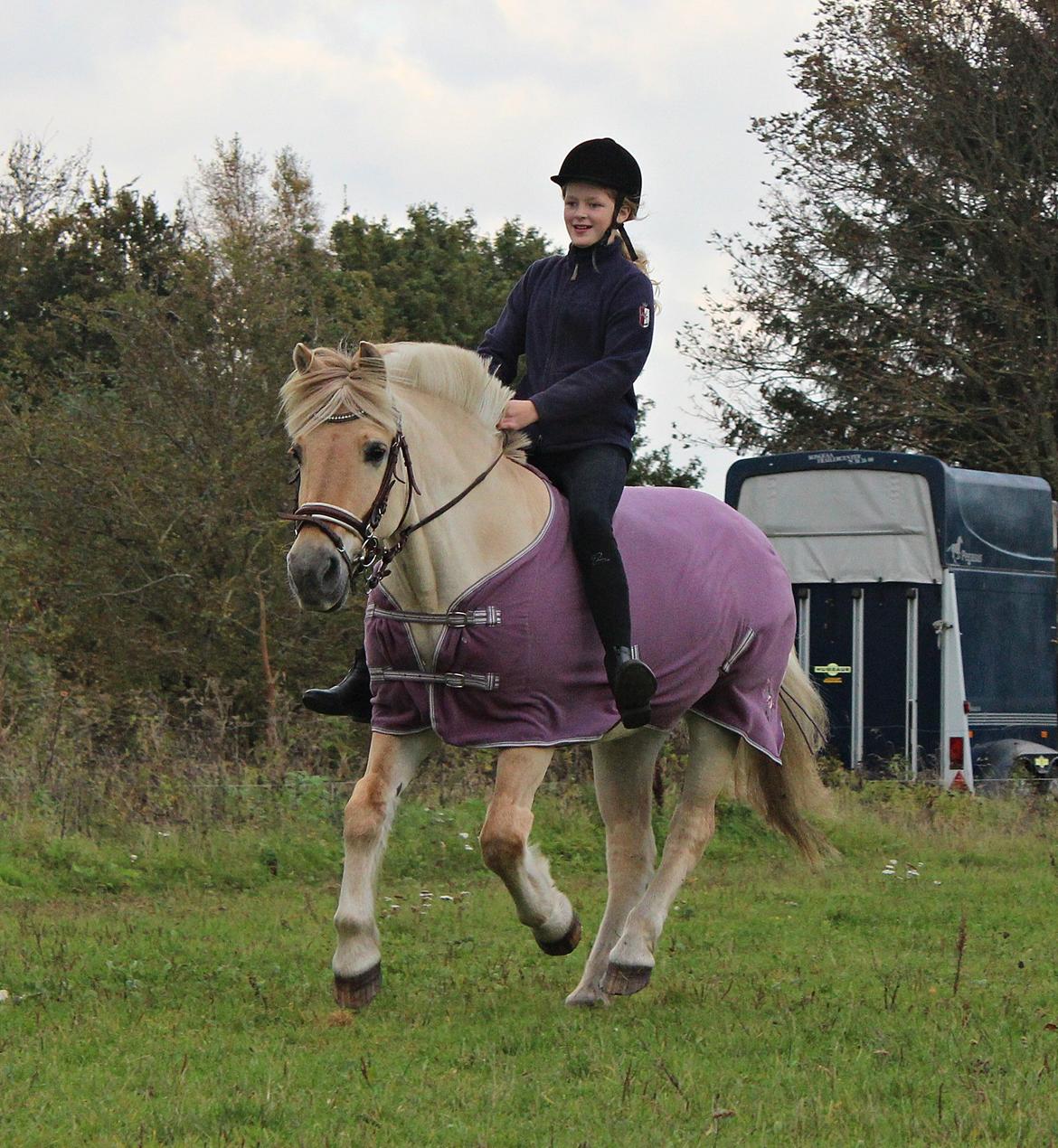 Fjordhest Vængets Mirabel <3 billede 18