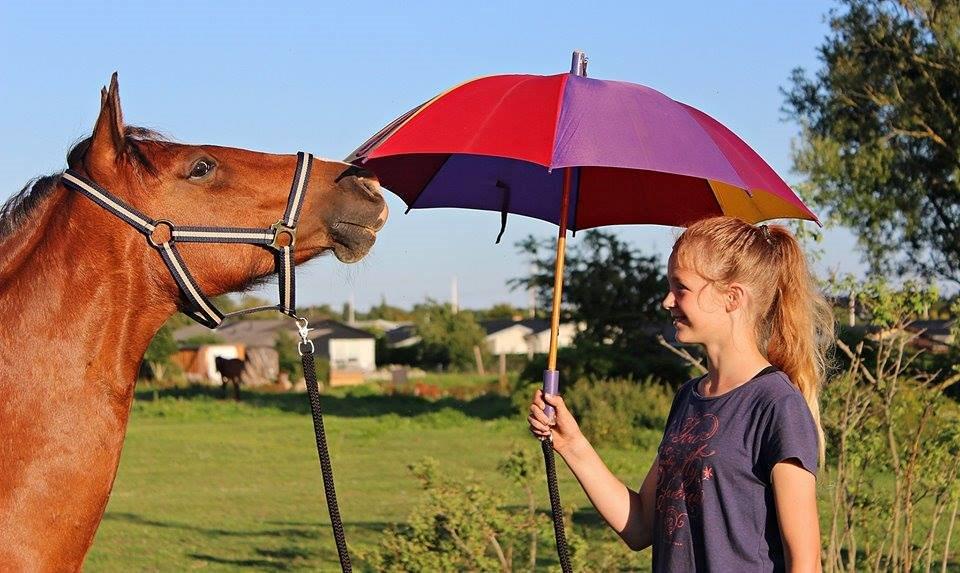 Anden særlig race Hesdalskærs Victoria <3 billede 17