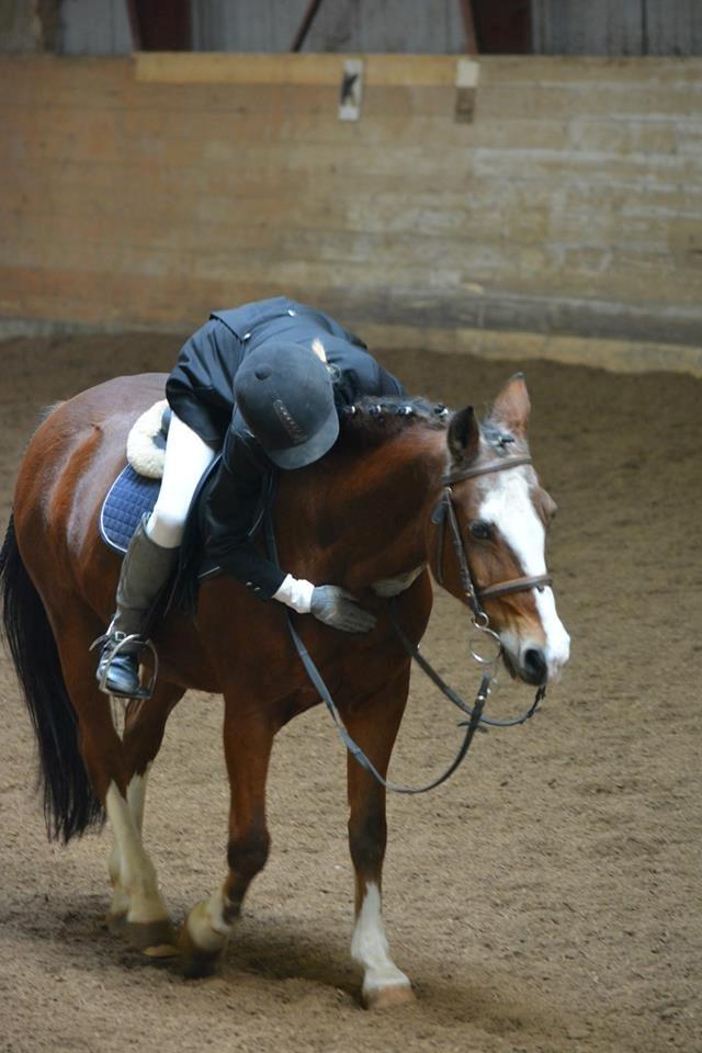 Anden særlig race Fair Play [ELEVPONY] - Får lige en krammer efter et godt program 05.10.14 billede 2