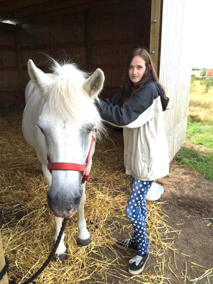 Connemara Frederiksminde Hazy Star billede 4