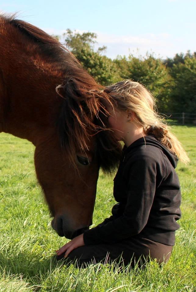 Islænder Fenja fra Vindblæs - Et af de sidste farvel hun fik billede 5