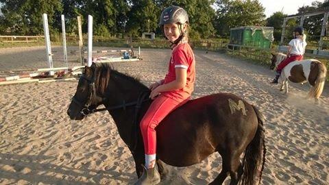 Shetlænder Ringemarkens Duchess billede 2