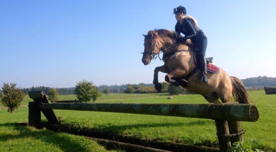 Anden særlig race Loke - Første gang på terrænbanen :) billede 20