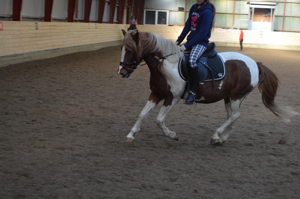 Anden særlig race Jasmin<3 Tidl. Part!<3 - Gaaaaalop<3 11/10-14 billede 3