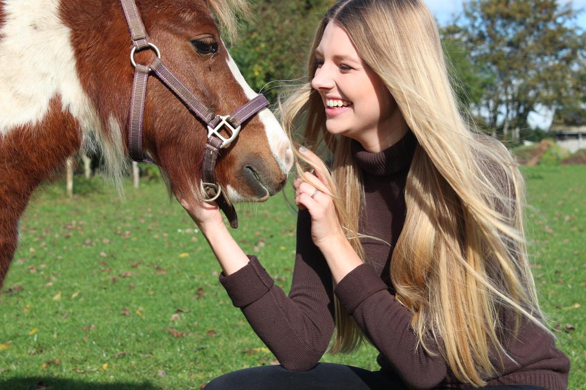 Anden særlig race Dixie billede 12