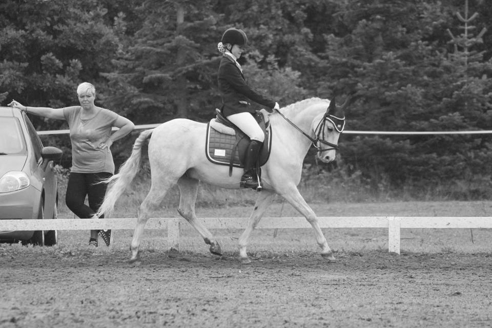 Welsh Pony (sec B) Foxy - Stævne på Hodsager happy horse. billede 7