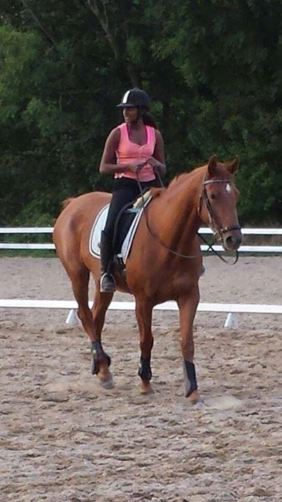 Dansk Varmblod Casilje  - Casilje og jeg træt efter dressur undervisning :) billede 15