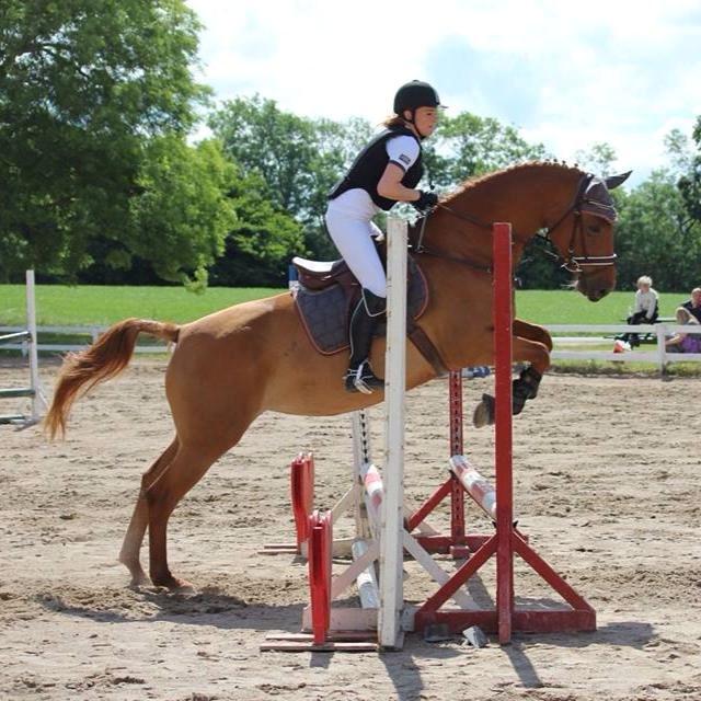 Dansk Varmblod Casilje  - Sabine (ejer) og Casilje til stævne på VOSK sommer 2014 mener det er 60 cm B0 :) billede 16