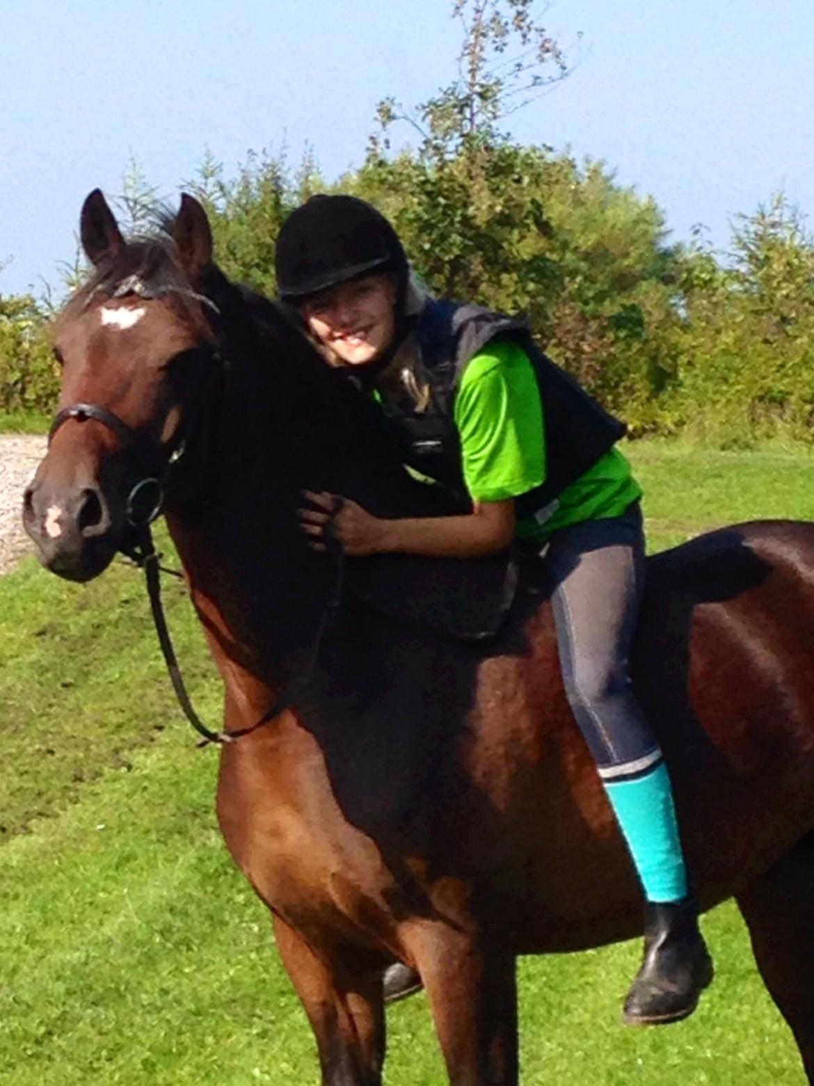 New Forest Arjan billede 10