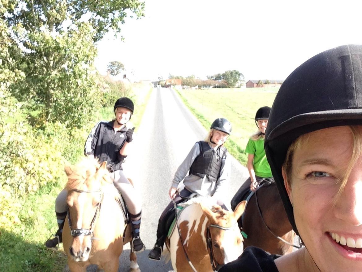 Anden særlig race Mille billede 20