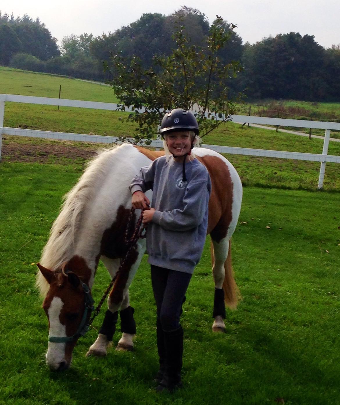 Anden særlig race Mille billede 23