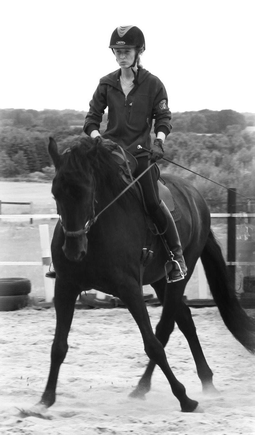 Lusitano A-Furia - A-Furia september 2014 billede 21