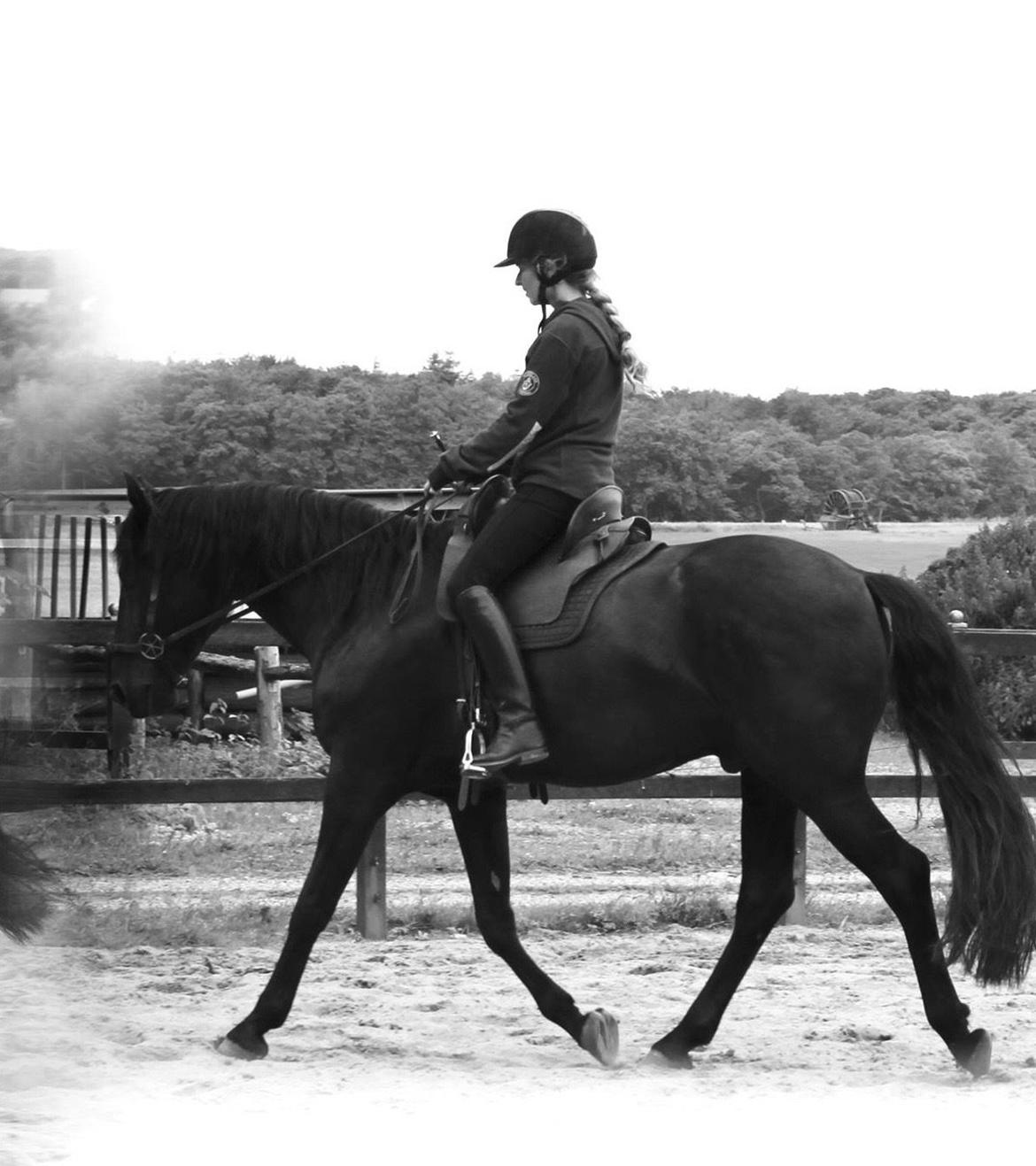 Lusitano A-Furia - A-Furia september 2014 billede 22