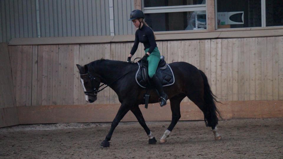 New Forest Sjølunds Tornado! billede 21